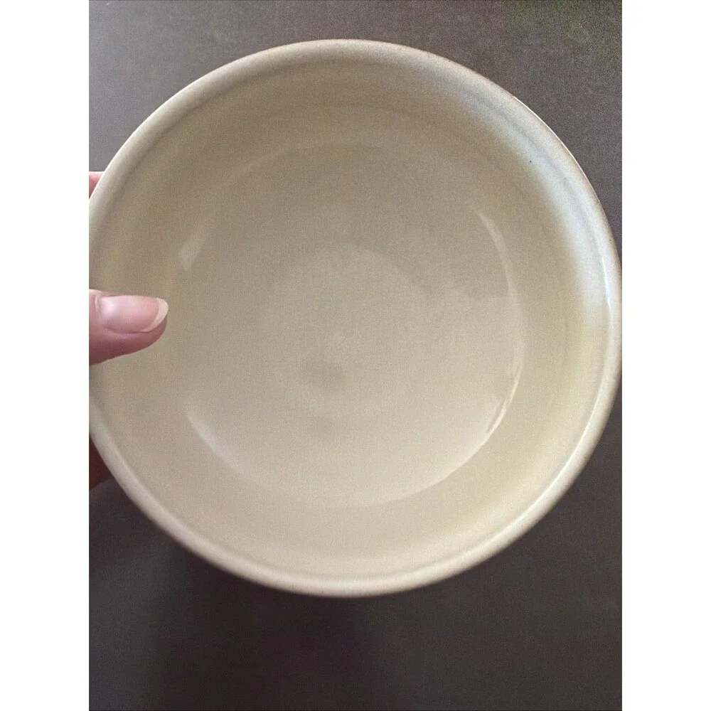 Denby Fire Chili Bowl Swirl Soup Cereal 6